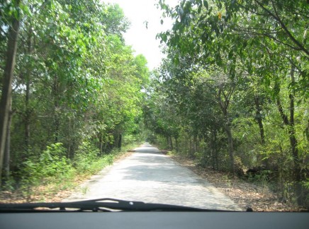 Hình 2 3 Đường Vành Đai Gò Tháp đường bộ vào Đồng Sen Ngày chụp ngày 7 4