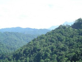 Sự phong phú của địa chất địa mạo đã tạo ra cho Phong Nha Kẻ Bàng tính đa 3