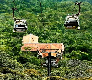 Mai vàng Yên Tử Hệ thống cáp treo Yên Tử Thiền viện Trúc Lâm Yên Tử Khai hội 2