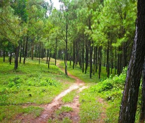 Lựng Xanh Hồ Yên Trung Chùa Hang Son Lễ khai giảng khóa đào tạo Thuyết minh viên 9