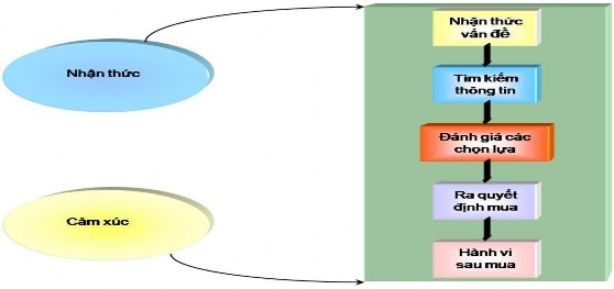 Hình 2 1 Mô hình nghiên cứu thái độ 2 2 2 2 Sự lựa chọn của khách hàng Khách 1