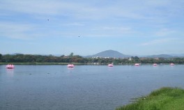 Sen trên sông Hương Hội diễu hành xe hoa Phật giáo Lễ hội Phật Đản tại Chùa 10