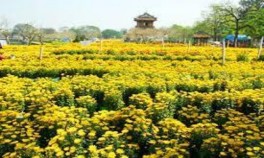 Chợ Hoa Phu Văn Lâu Huế ảnh tác giả Mâm cỗ ngày tết ở một gia đình Huế 4