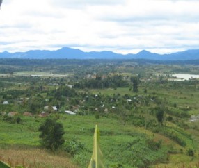 Khu bảo tồn thiên nhiên Krông Trai Khu sinh thái Sơn Nguyên Nguồn ảnh www 7