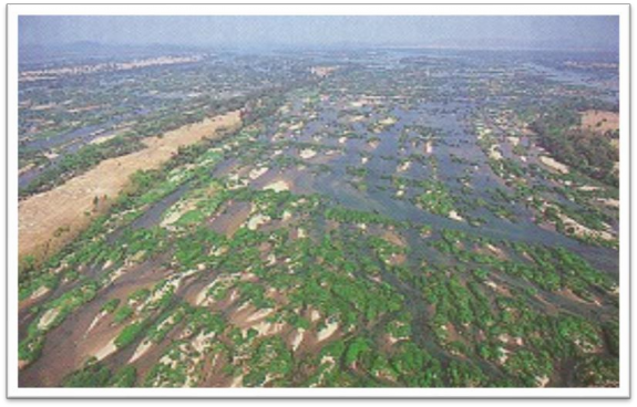 Phụ lục 3 Thu nhập du lịch tỉnh Chăm Pa Sắc Đơn vị tính triệu kíp Loại thu 3