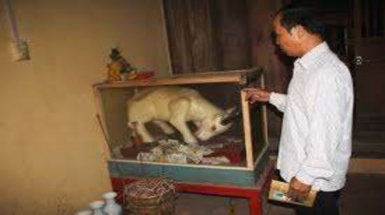 7 22 Hiện tượng rắc tiền lẻ trong tượng trâu trắng năm 2017 Nguồn Báo Hải 2