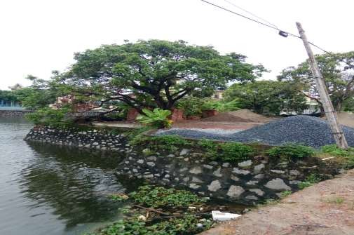 7 23 Bờ lạch đỏ là nơi đổ vật liệu xây dựng Nguồn tác giả chụp ngày 15 3