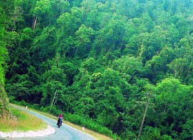 Hình 2 Đường vào khu hành chính VQG Pù Mát Hình 3 Đường vào khu BTTN Pù Huống 3