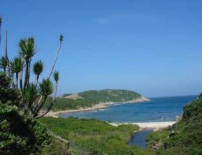 Ninh Thuận Ghềnh Ráng Biển Vũng Tàu Biển Nha Trang Khánh Hoà Biển Mỹ Khê Đà 3