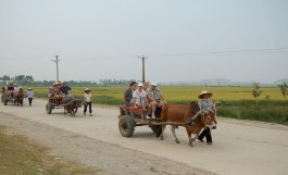 Đền thờ tứ vị hồng nương trên núi Mèo Cào Đi du lịch bằng xe bò Đón khách 12