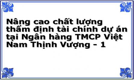 Nâng cao chất lượng thẩm định tài chính dự án tại Ngân hàng TMCP Việt Nam Thịnh Vượng - 1