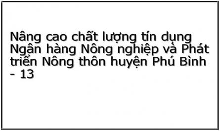Nâng cao chất lượng tín dụng Ngân hàng Nông nghiệp và Phát triển Nông thôn huyện Phú Bình - 13