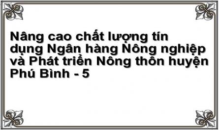 Nâng cao chất lượng tín dụng Ngân hàng Nông nghiệp và Phát triển Nông thôn huyện Phú Bình - 5