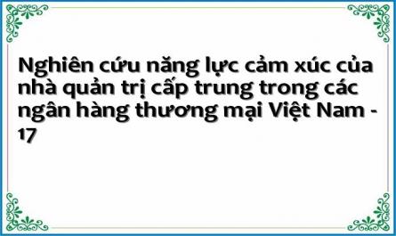 Nghiên cứu năng lực cảm xúc của nhà quản trị cấp trung trong các ngân hàng thương mại Việt Nam - 17