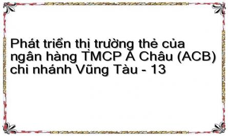 Phát triển thị trường thẻ của ngân hàng TMCP Á Châu (ACB) chi nhánh Vũng Tàu - 13