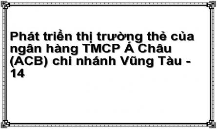 Phát triển thị trường thẻ của ngân hàng TMCP Á Châu (ACB) chi nhánh Vũng Tàu - 14