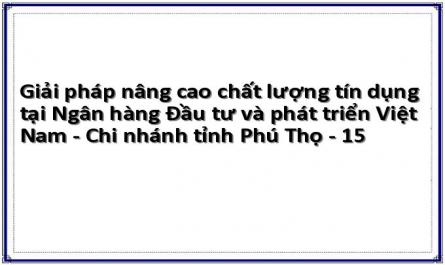 Giải pháp nâng cao chất lượng tín dụng tại Ngân hàng Đầu tư và phát triển Việt Nam - Chi nhánh tỉnh Phú Thọ - 15