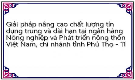Giải pháp nâng cao chất lượng tín dụng trung và dài hạn tại ngân hàng Nông nghiệp và Phát triển nông thôn Việt Nam, chi nhánh tỉnh Phú Thọ - 11