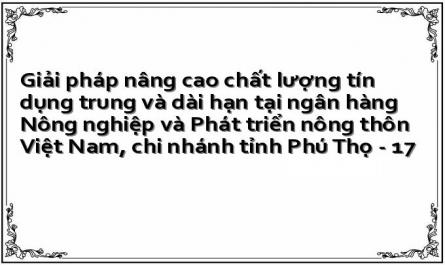 Giải pháp nâng cao chất lượng tín dụng trung và dài hạn tại ngân hàng Nông nghiệp và Phát triển nông thôn Việt Nam, chi nhánh tỉnh Phú Thọ - 17