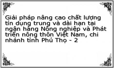 Giải pháp nâng cao chất lượng tín dụng trung và dài hạn tại ngân hàng Nông nghiệp và Phát triển nông thôn Việt Nam, chi nhánh tỉnh Phú Thọ - 2