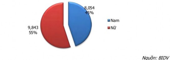 BIDV là Ngân hàng đi tiên phong trong việc đổi mới cả nội dung và hình thức 3