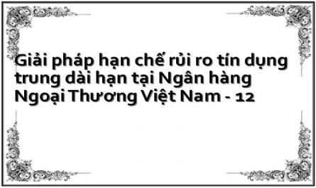 Giải pháp hạn chế rủi ro tín dụng trung dài hạn tại Ngân hàng Ngoại Thương Việt Nam - 12