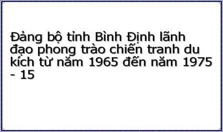 Đảng bộ tỉnh Bình Định lãnh đạo phong trào chiến tranh du kích từ năm 1965 đến năm 1975 - 15