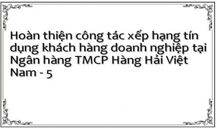 Hoàn thiện công tác xếp hạng tín dụng khách hàng doanh nghiệp tại Ngân hàng TMCP Hàng Hải Việt Nam - 5
