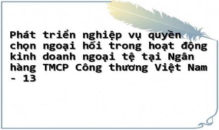 Phát triển nghiệp vụ quyền chọn ngoại hối trong hoạt động kinh doanh ngoại tệ tại Ngân hàng TMCP Công thương Việt Nam - 13