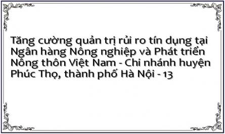 Tăng cường quản trị rủi ro tín dụng tại Ngân hàng Nông nghiệp và Phát triển Nông thôn Việt Nam - Chi nhánh huyện Phúc Thọ, thành phố Hà Nội - 13