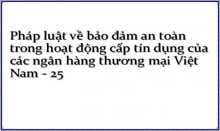 Pháp luật về bảo đảm an toàn trong hoạt động cấp tín dụng của các ngân hàng thương mại Việt Nam - 25