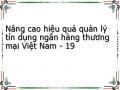 Nâng cao hiệu quả quản lý tín dụng ngân hàng thương mại Việt Nam - 19