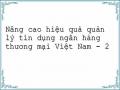 Nâng cao hiệu quả quản lý tín dụng ngân hàng thương mại Việt Nam - 2
