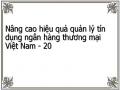Nâng cao hiệu quả quản lý tín dụng ngân hàng thương mại Việt Nam - 20