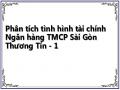 Phân tích tình hình tài chính Ngân hàng TMCP Sài Gòn Thương Tín