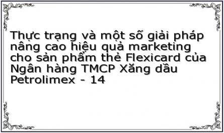 Thực trạng và một số giải pháp nâng cao hiệu quả marketing cho sản phẩm thẻ Flexicard của Ngân hàng TMCP Xăng dầu Petrolimex - 14