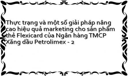 Thực trạng và một số giải pháp nâng cao hiệu quả marketing cho sản phẩm thẻ Flexicard của Ngân hàng TMCP Xăng dầu Petrolimex - 2