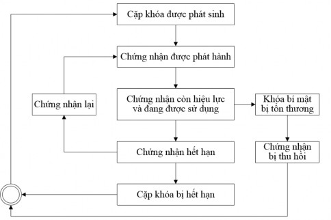 Hình 7 4 Chu kỳ sống của chứng thực số Nguồn TCVN TCVN 7635 2007 7 3 ĐẢM BẢO 1