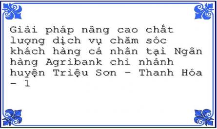 Giải pháp nâng cao chất lượng dịch vụ chăm sóc khách hàng cá nhân tại Ngân hàng Agribank chi nhánh huyện Triệu Sơn – Thanh Hóa - 1