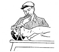 Hình 2 8 Cấp cứu nạn nhân bằng hô hấp nhân tạo Với trẻ em 20 lần trong 1 1