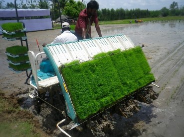 Figure 3 Working with the transplanting machine Photo Internet source IV Caring paddy plants after 2