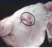 G H I J K L M N O Exercise 2 Match the words in column A with their definitions in column B A B 1 2