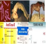 N O Exercise 2 Match the words in column A with their definitions in column B A B 1 Distemper 2 7