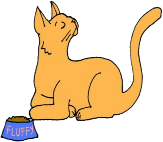 1 RINEAXOA 2 CENMIAOTAI 3 MVTOI 4 FESNADES 5 NASMELES 6 TAHAPY 7 MOCA 8 ITANNOINI 9 HAERDAIR 10 5