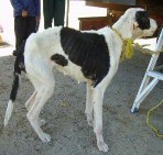 1 RINEAXOA 2 CENMIAOTAI 3 MVTOI 4 FESNADES 5 NASMELES 6 TAHAPY 7 MOCA 8 ITANNOINI 9 HAERDAIR 10 6