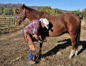 4 FESNADES 5 NASMELES 6 TAHAPY 7 MOCA 8 ITANNOINI 9 HAERDAIR 10 SAANEU 11 LOROD 12 CEHA 9