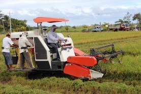Figure 1 2 Plowing Figure 1 3 Harvest Photo Internet source A typical method for casting flooded 4