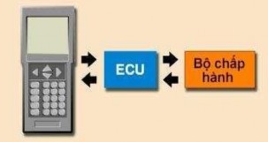 chuẩn đoán Chế độ này đưa ra các tín hiệu tới các trị số quy định của 1