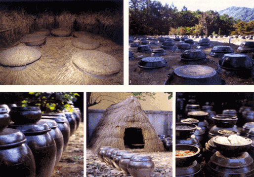 Hình 3 7 Các hình thức bảo quản kim chi 13