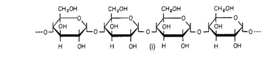 Hình 2 4 Cấu trúc của amylose i và amylopectin ii Amylose Cấu tạo do nhiều gốc α D 3